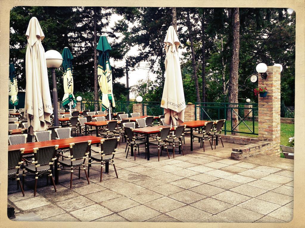 Hotel 1000 Ruza Belgrad Dış mekan fotoğraf